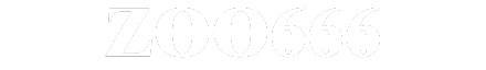 Zoo666.Chat